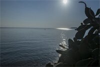 Фото Porto Kalyves Seaside Apartments