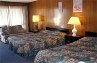 Фото Bel-air Motel