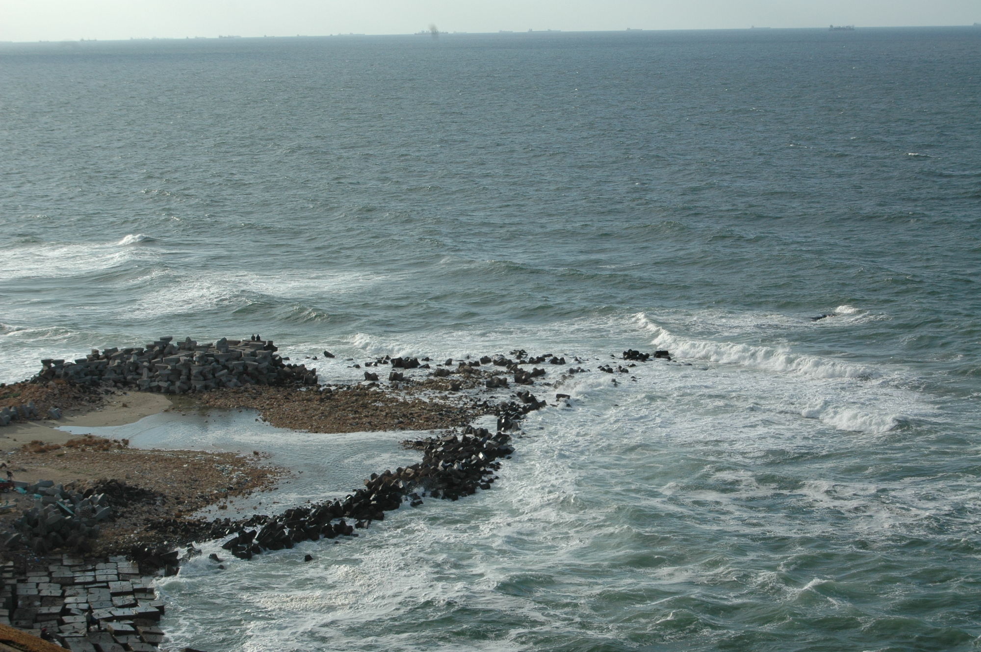 Фото Royal Crown Alexandria