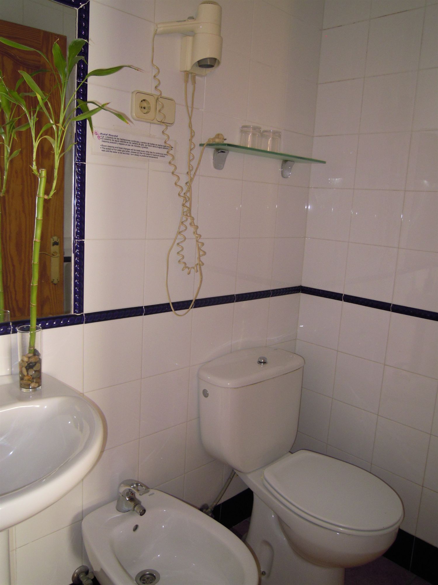Фото Hostal Moscatel