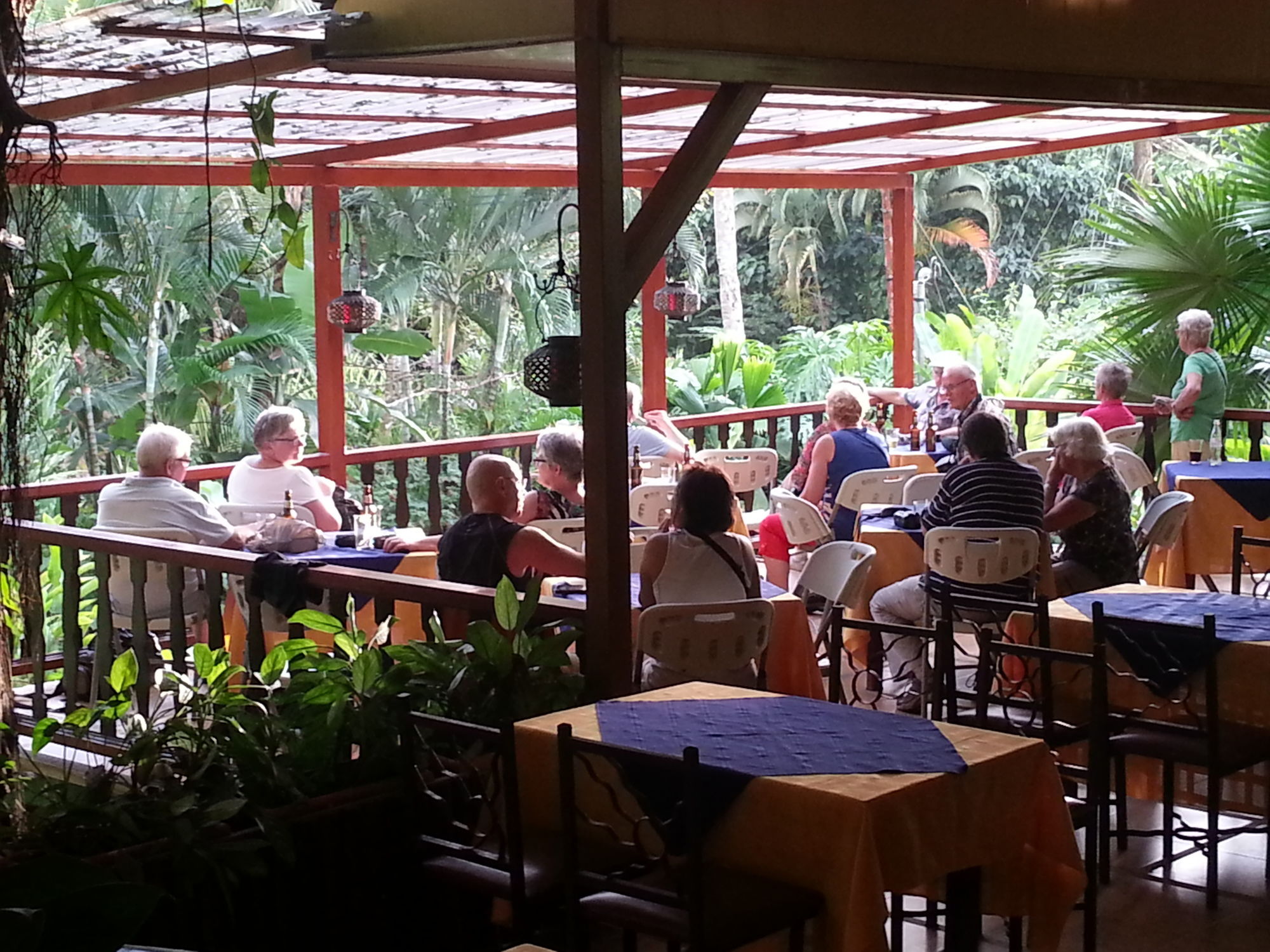 Фото Ara Ambigua Lodge