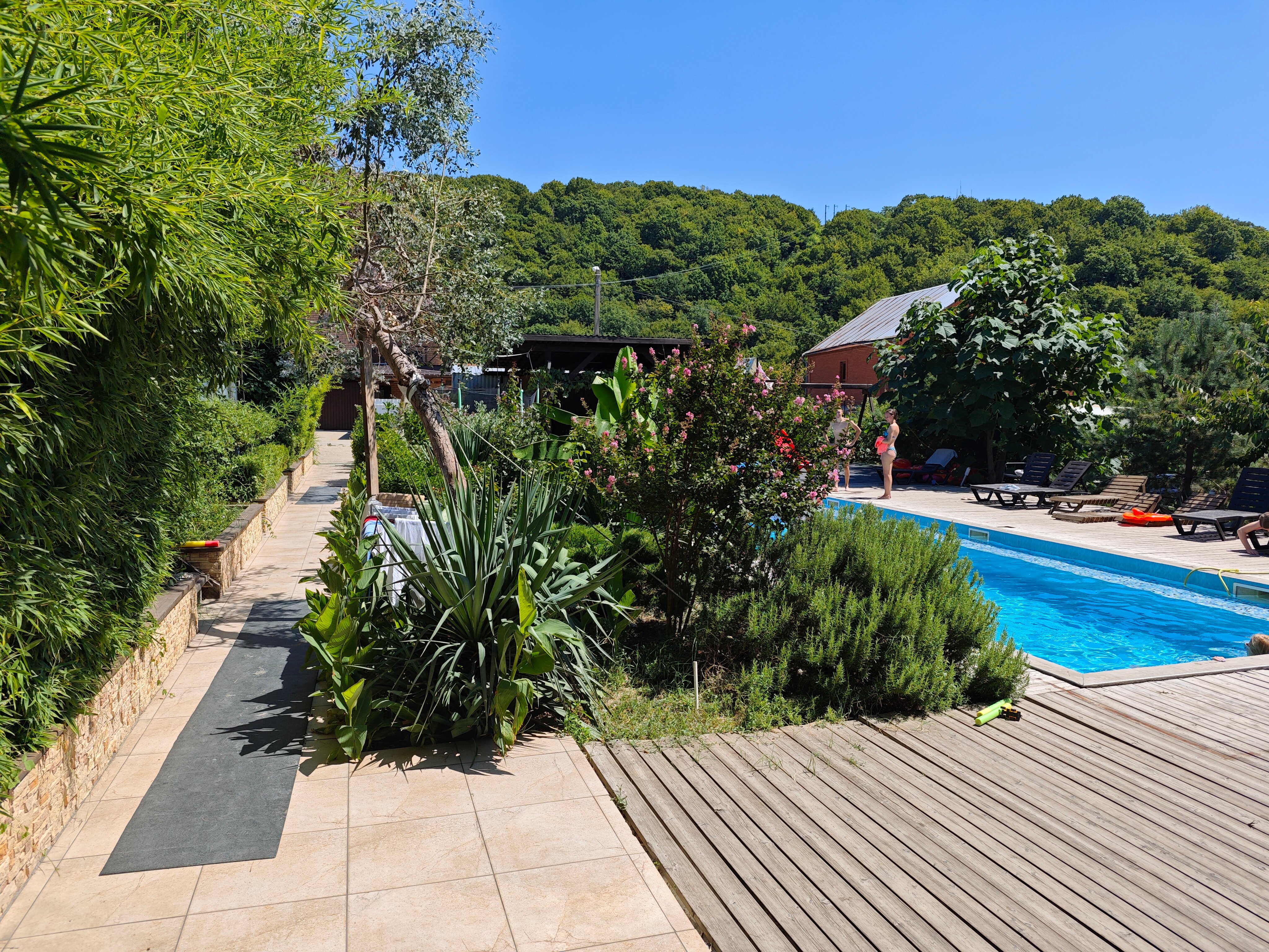 Фото Лесная поляна