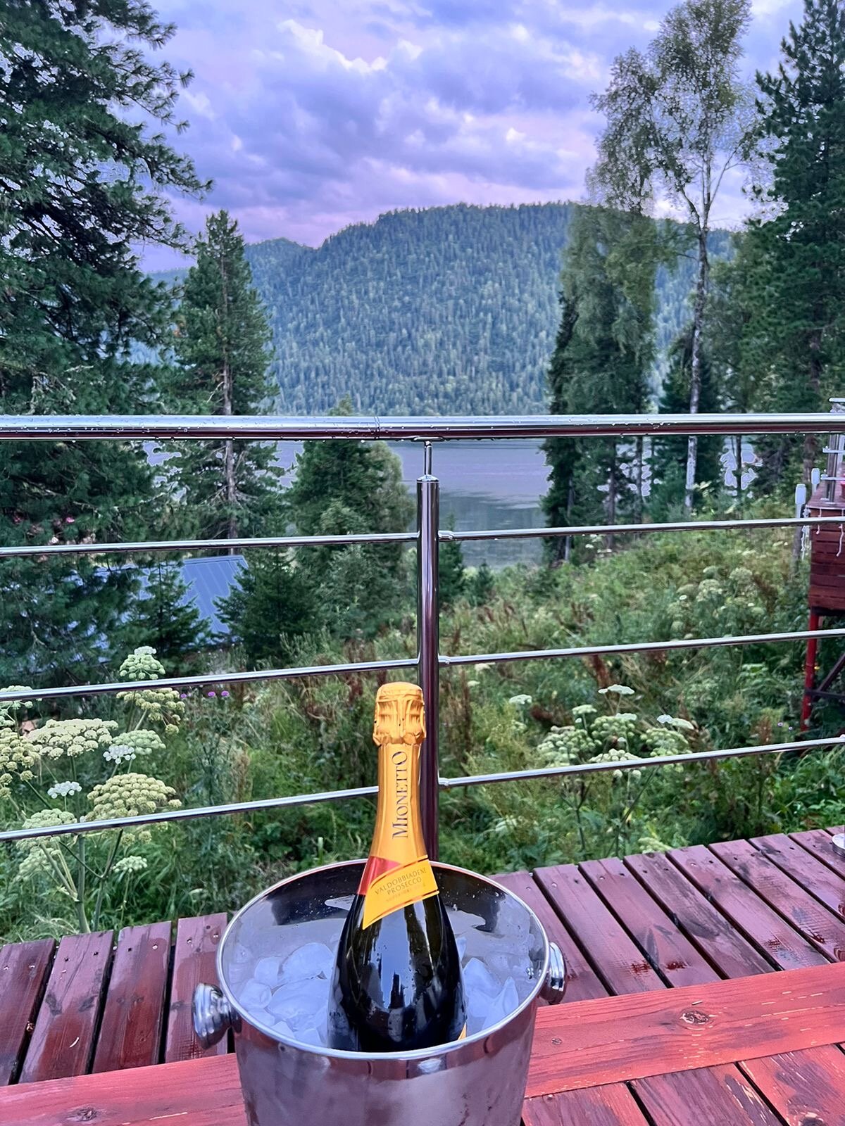 Фото Forest Glamp