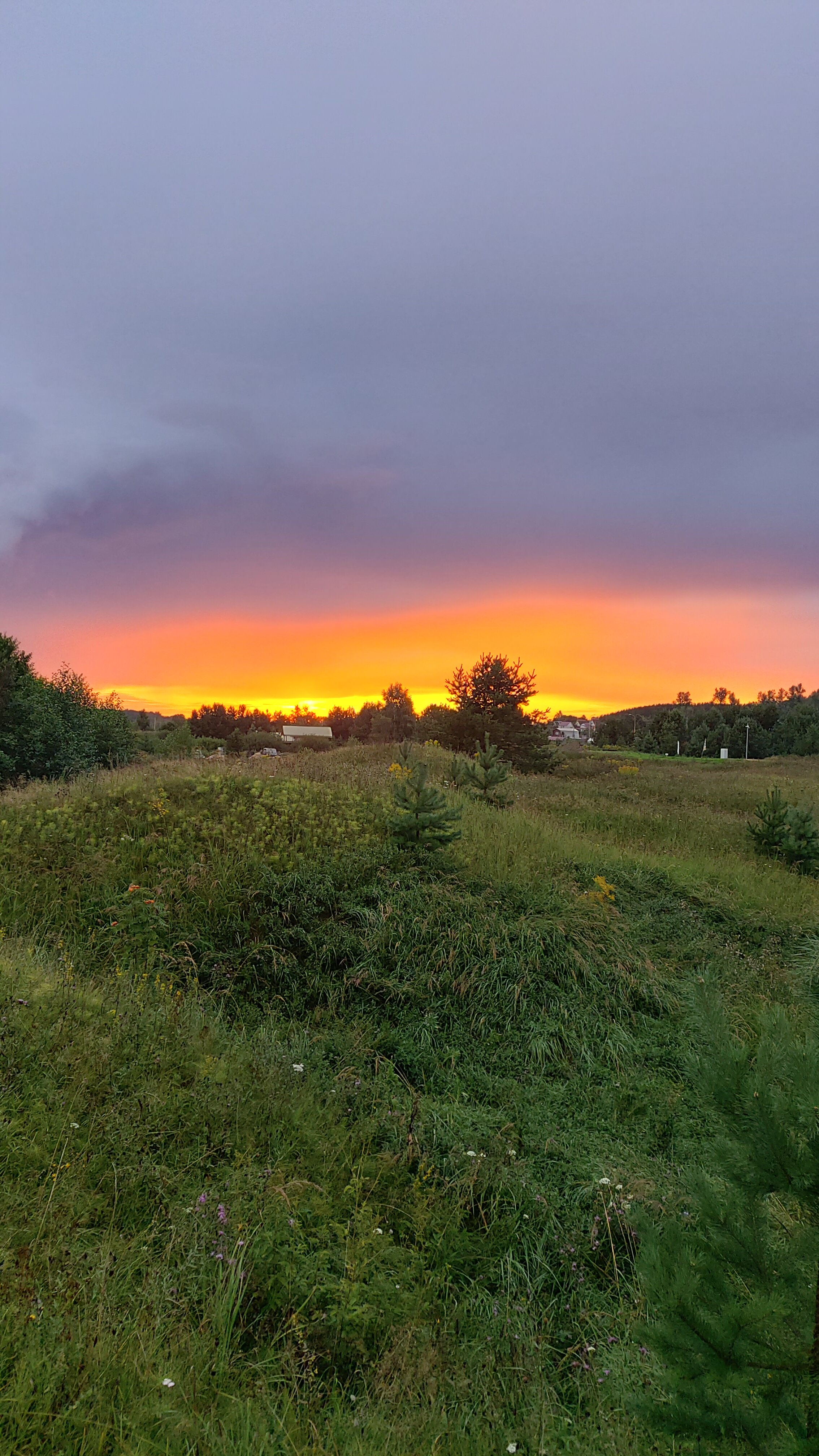 Фото Медведь