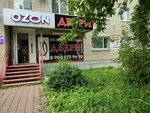 Дверной стиль (prospekt Pobedy, 87) ، الأبواب