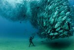 Therapy Travel and Fishing Tours (İstanbul, Maltepe, Yalı Mah., Maltepe Etkinlik Alanı), artículos de caza