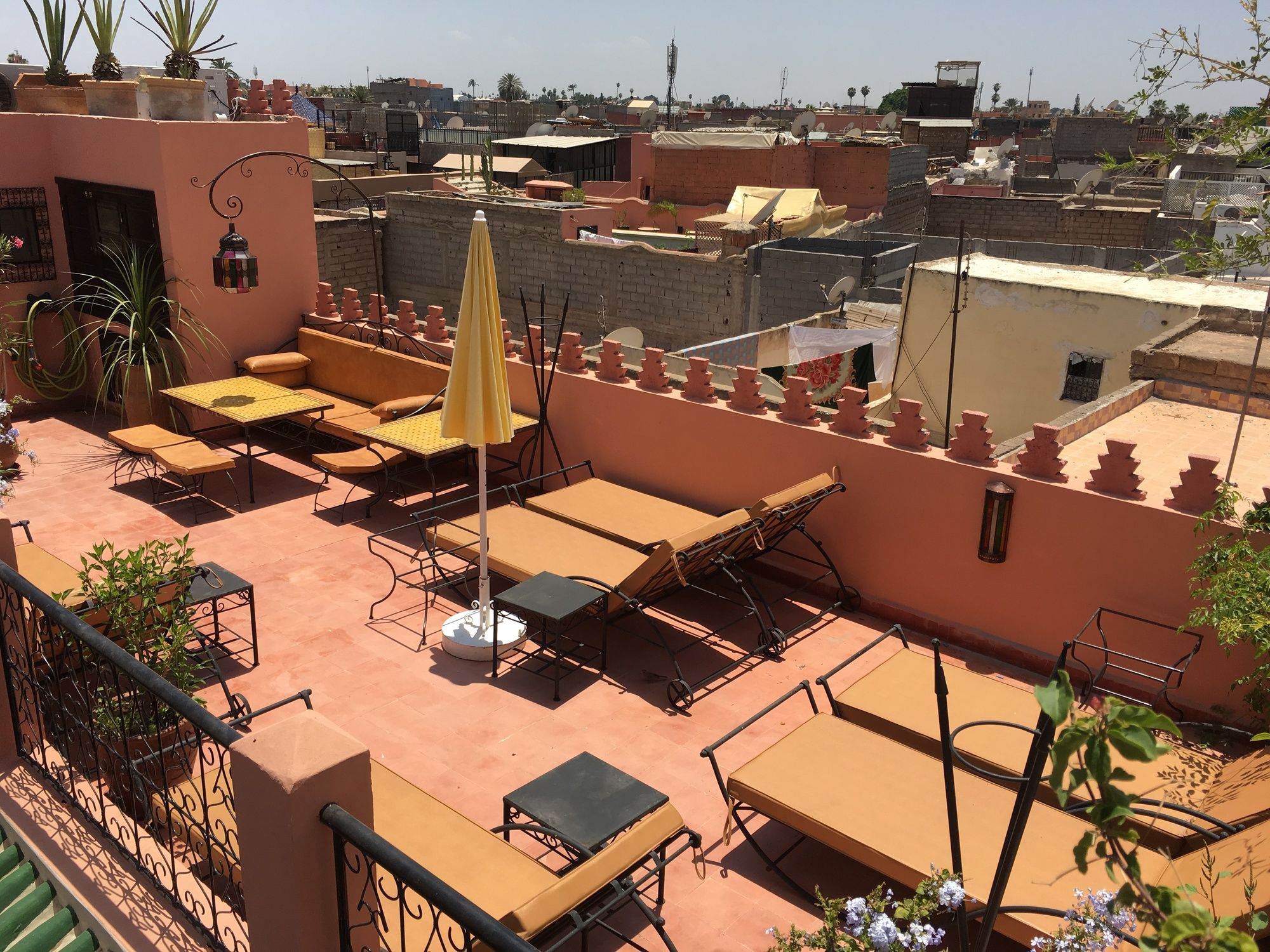 Фото Abélia Riad