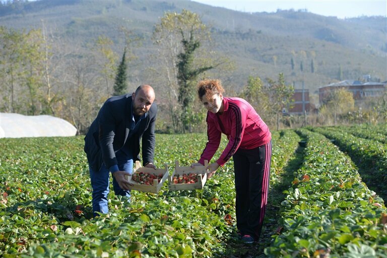 Chamber of commerce Sorgun Chamber of Agriculture Presidency, Sorgun, photo