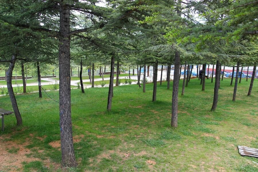 Primary school Cariksaraylar Martyr Bekir Aksoz Primary School, Sarkikaraagac, photo