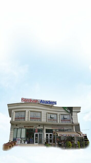 Foreign language courses Serdivan American Academy, Serdivan, photo