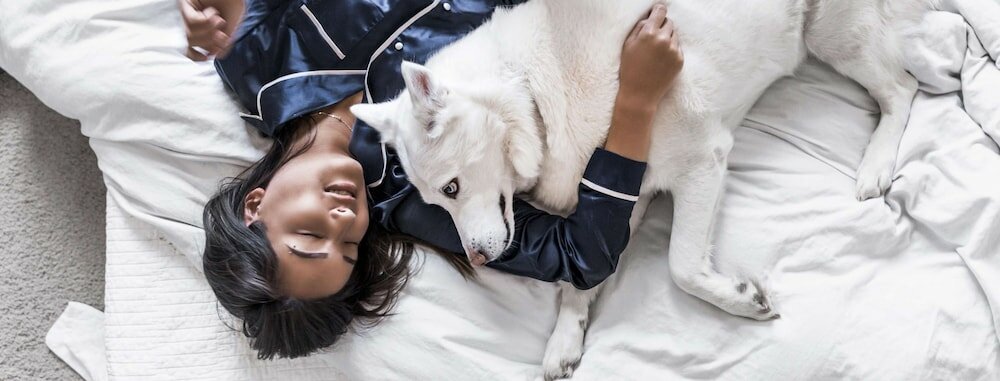 Фото Hotel Campanile Lyon Est Bron Eurexpo