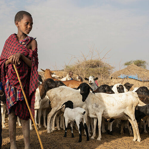 Community organization Siyahareketi, Samsun, photo