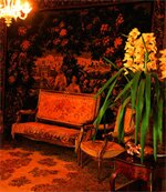 Фото Illyria House