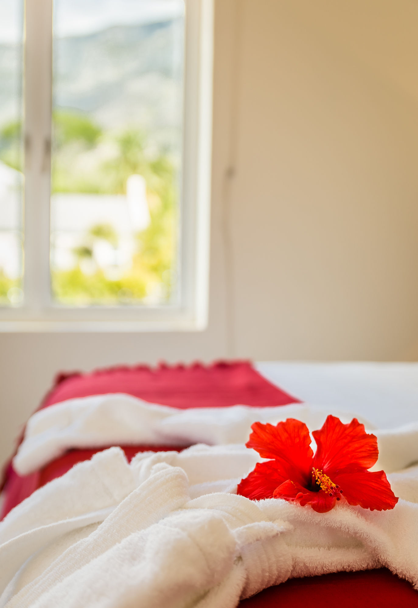 Фото Rosedene Guest House