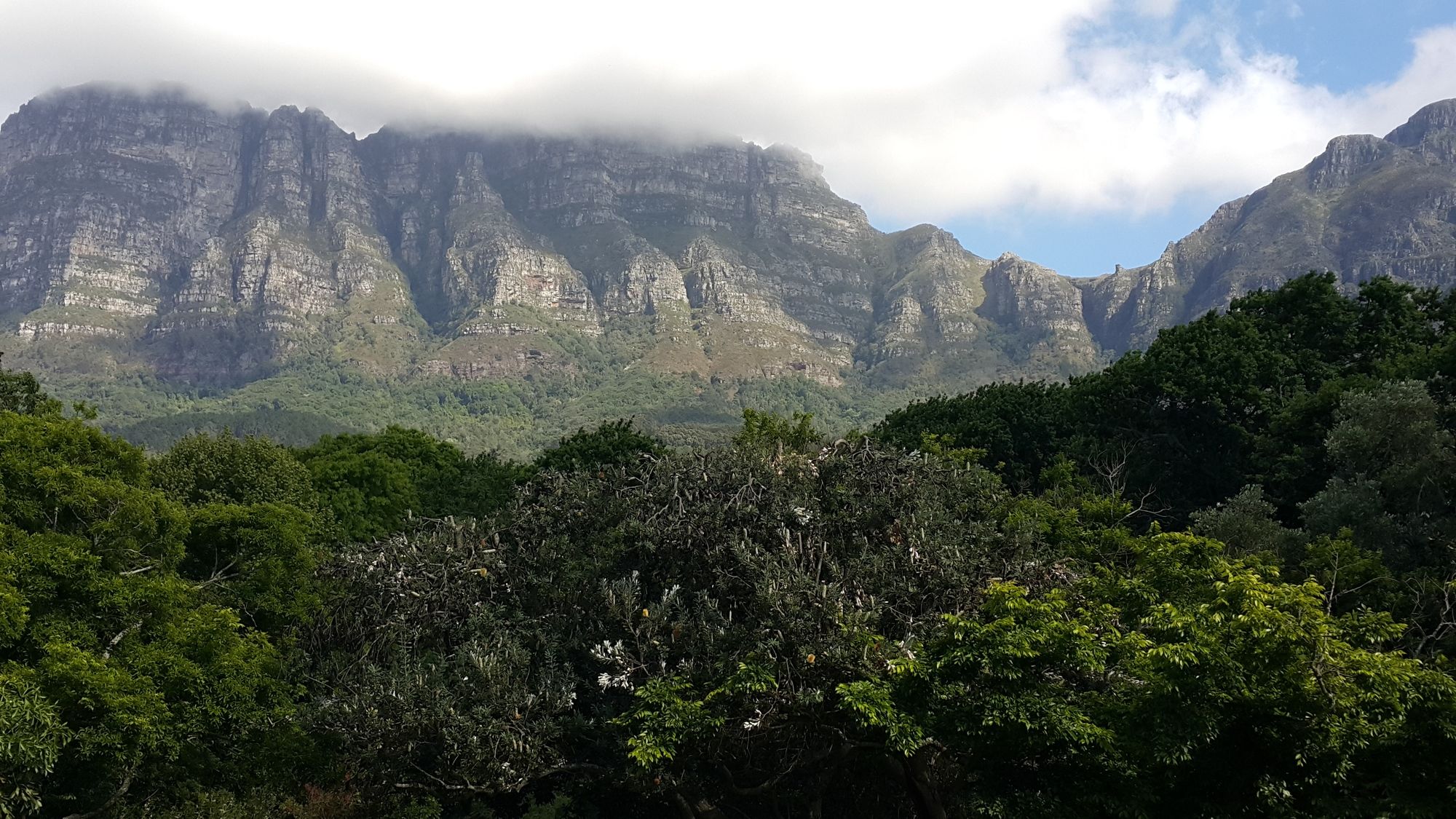 Фото Riversong Guest House