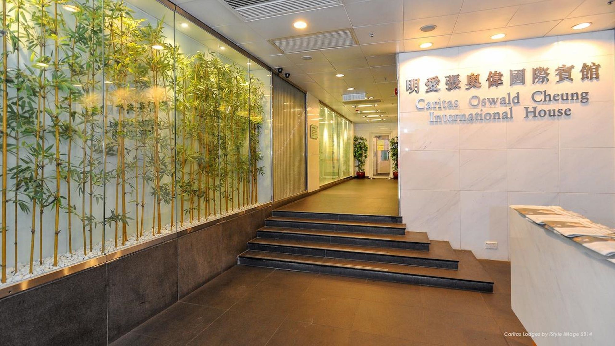 Фото 89681024316