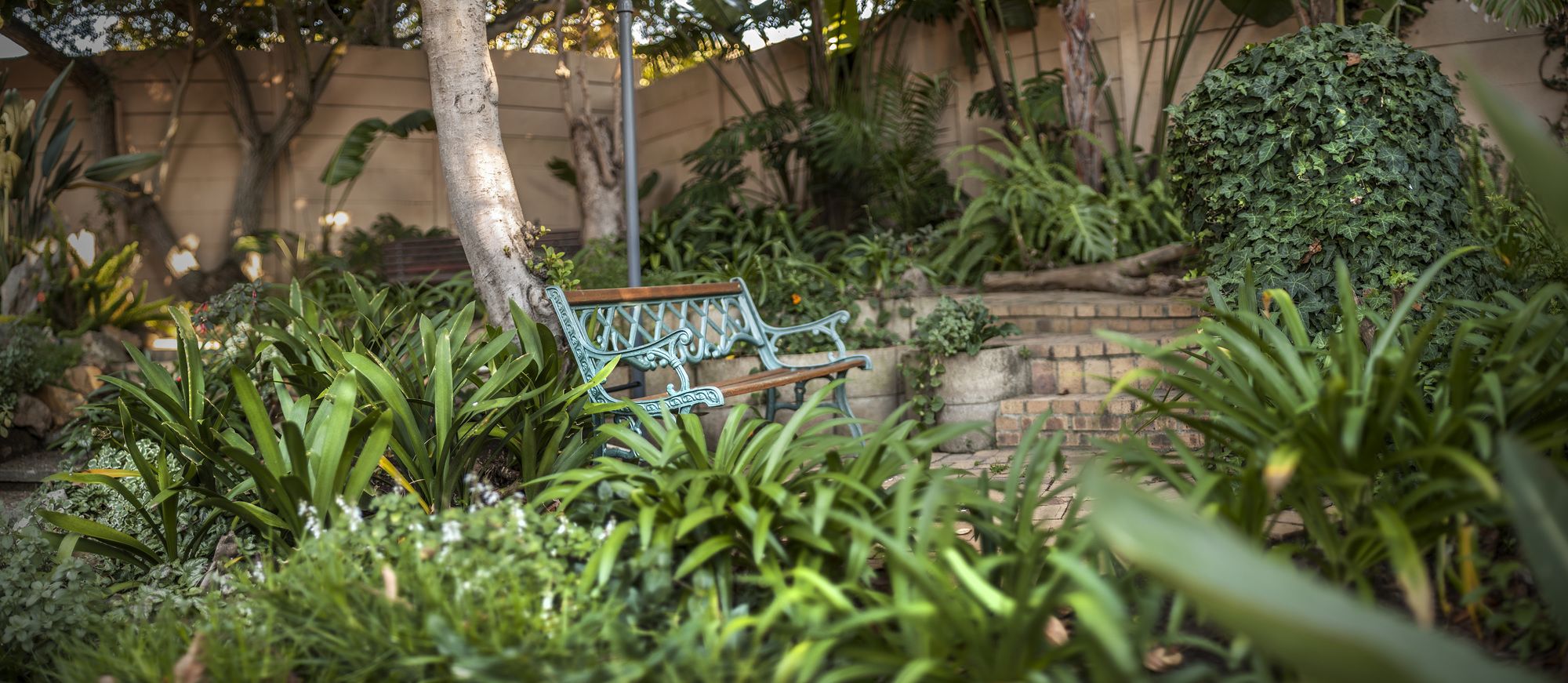 Фото Maroela House