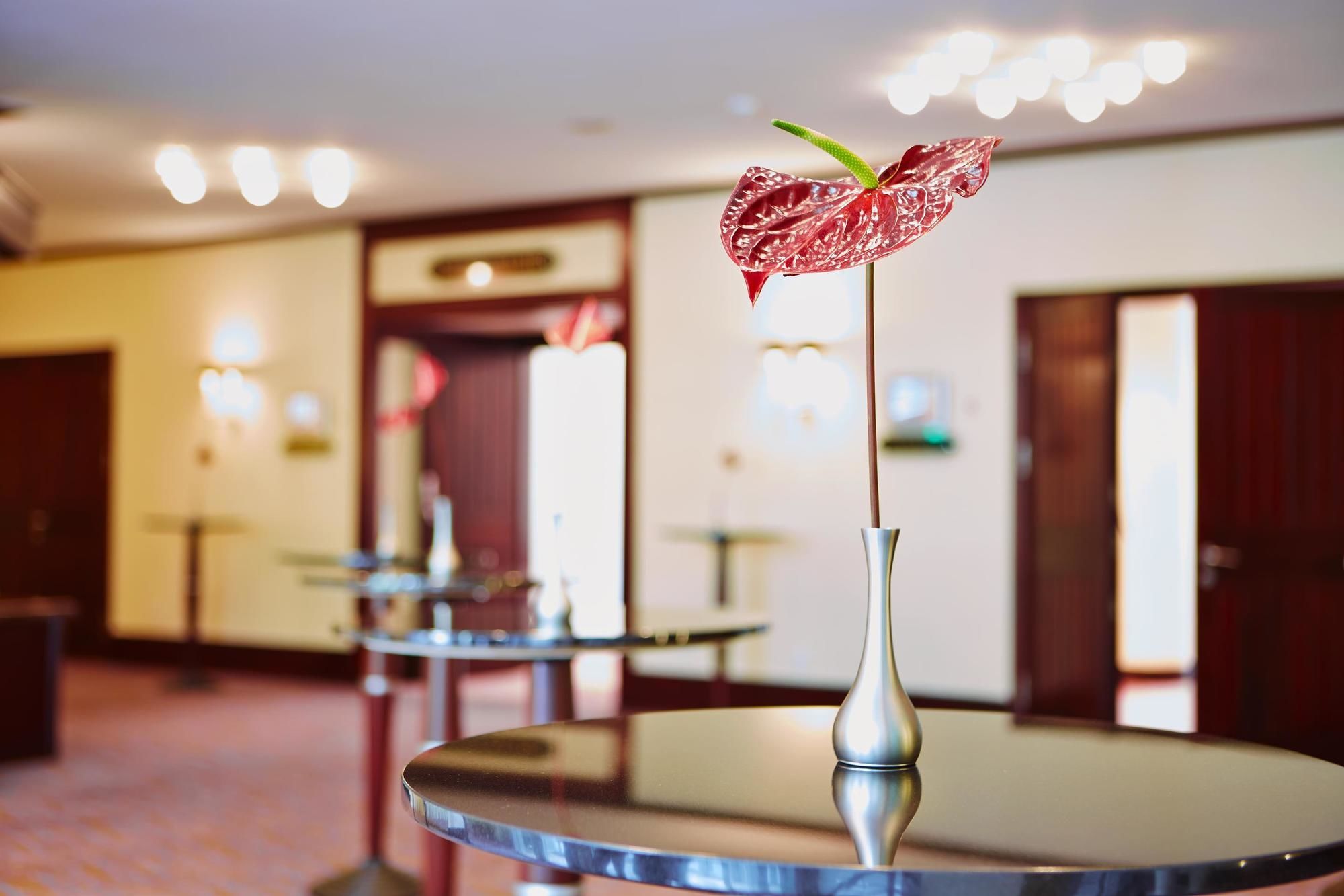 Фото Steigenberger Conti Hansa