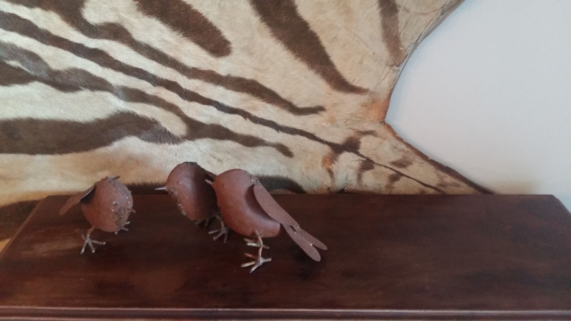 Фото Bluegum Hill Guesthouse & Apartments