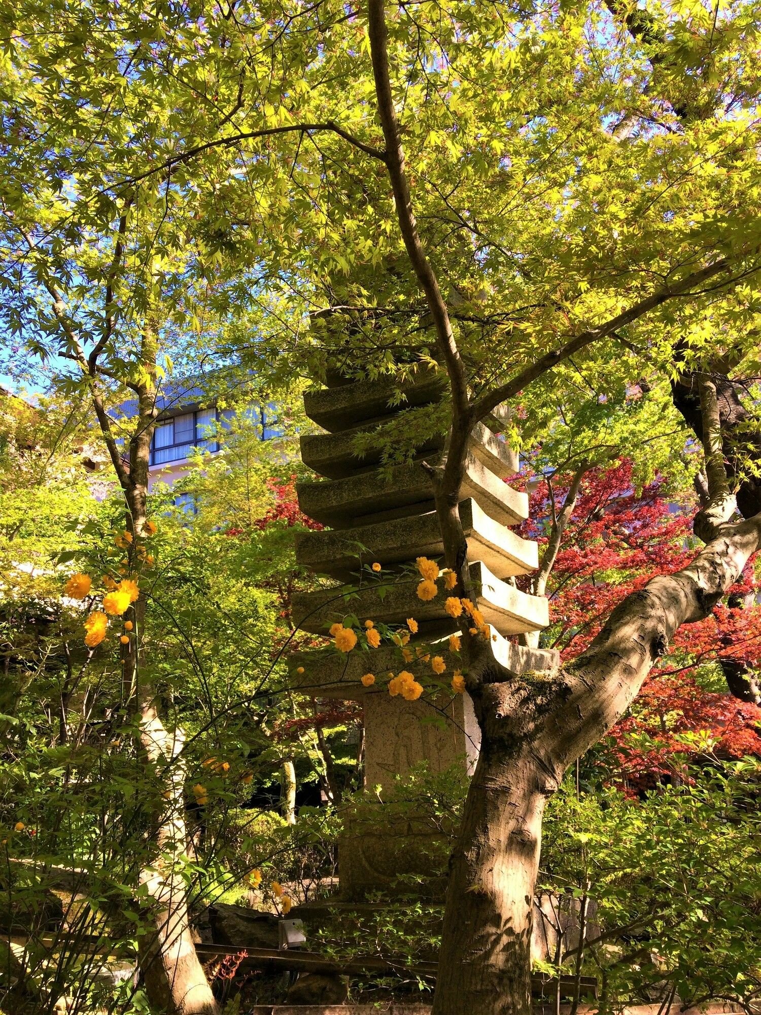 Фото Ryokan Nenrinbo