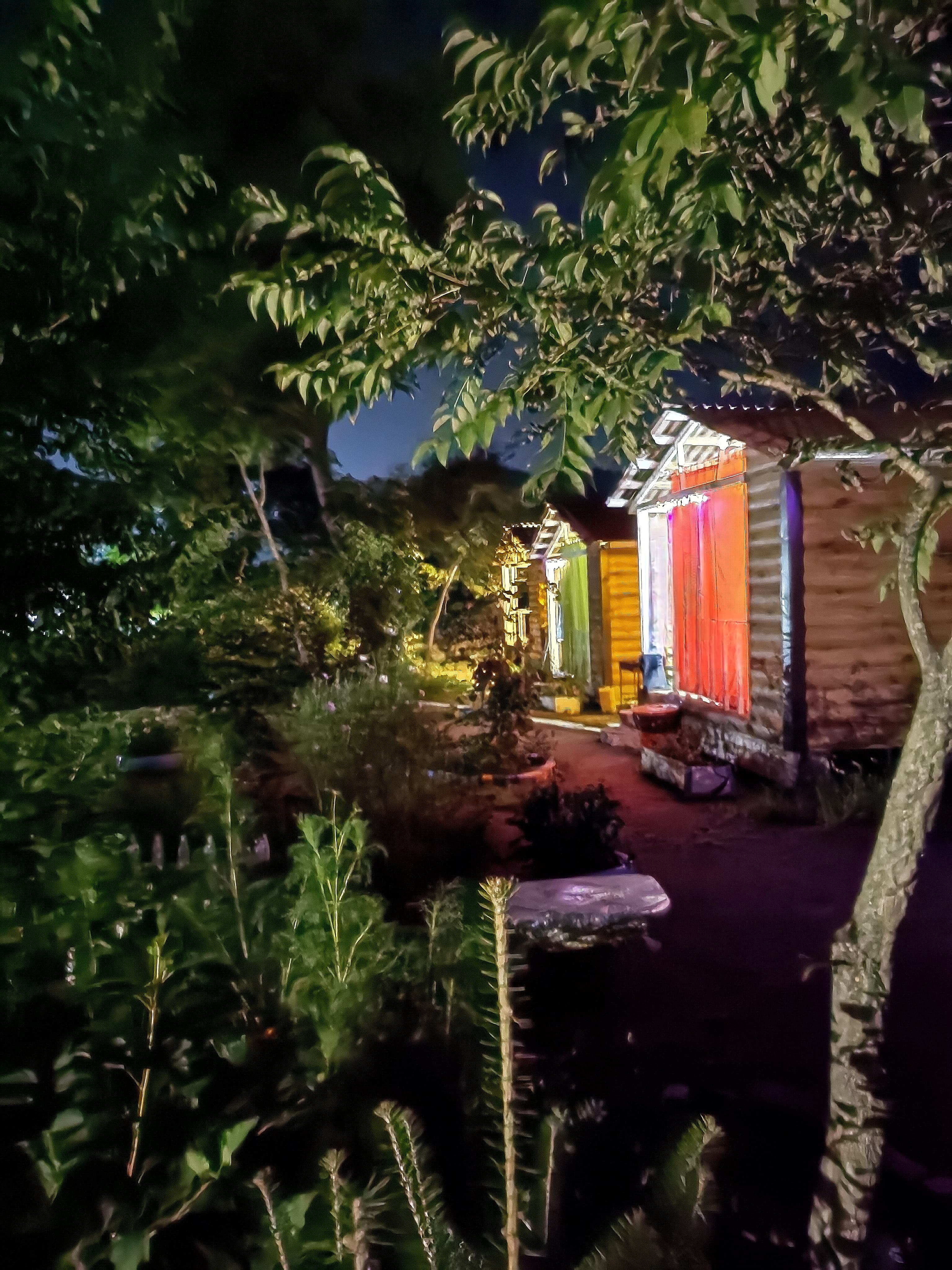 Фото Лесной дворик