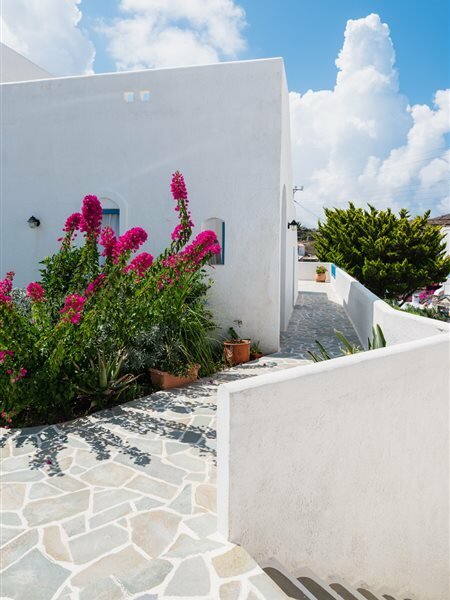 Фото Vigla Hotel