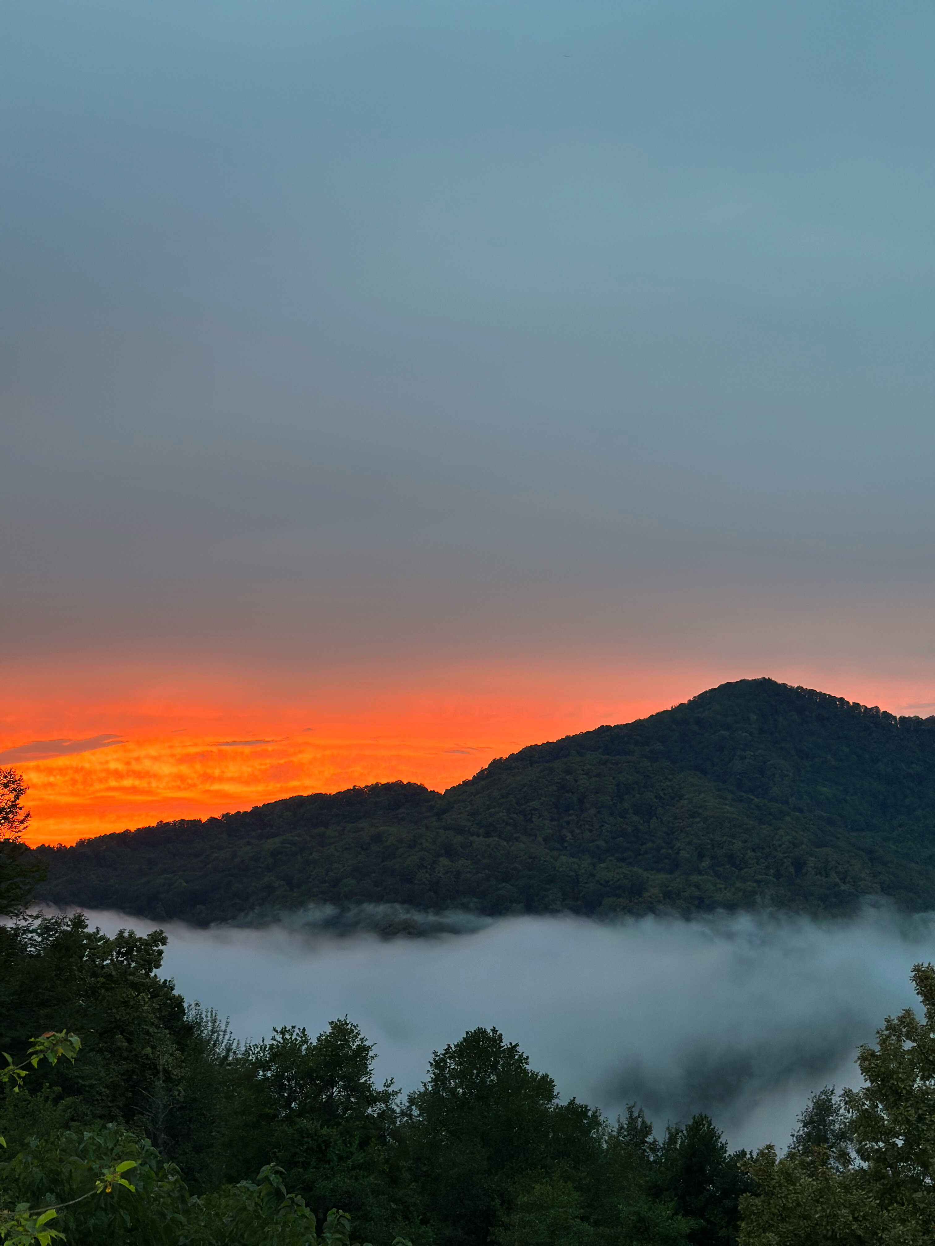 Фото Воронцовская Дача