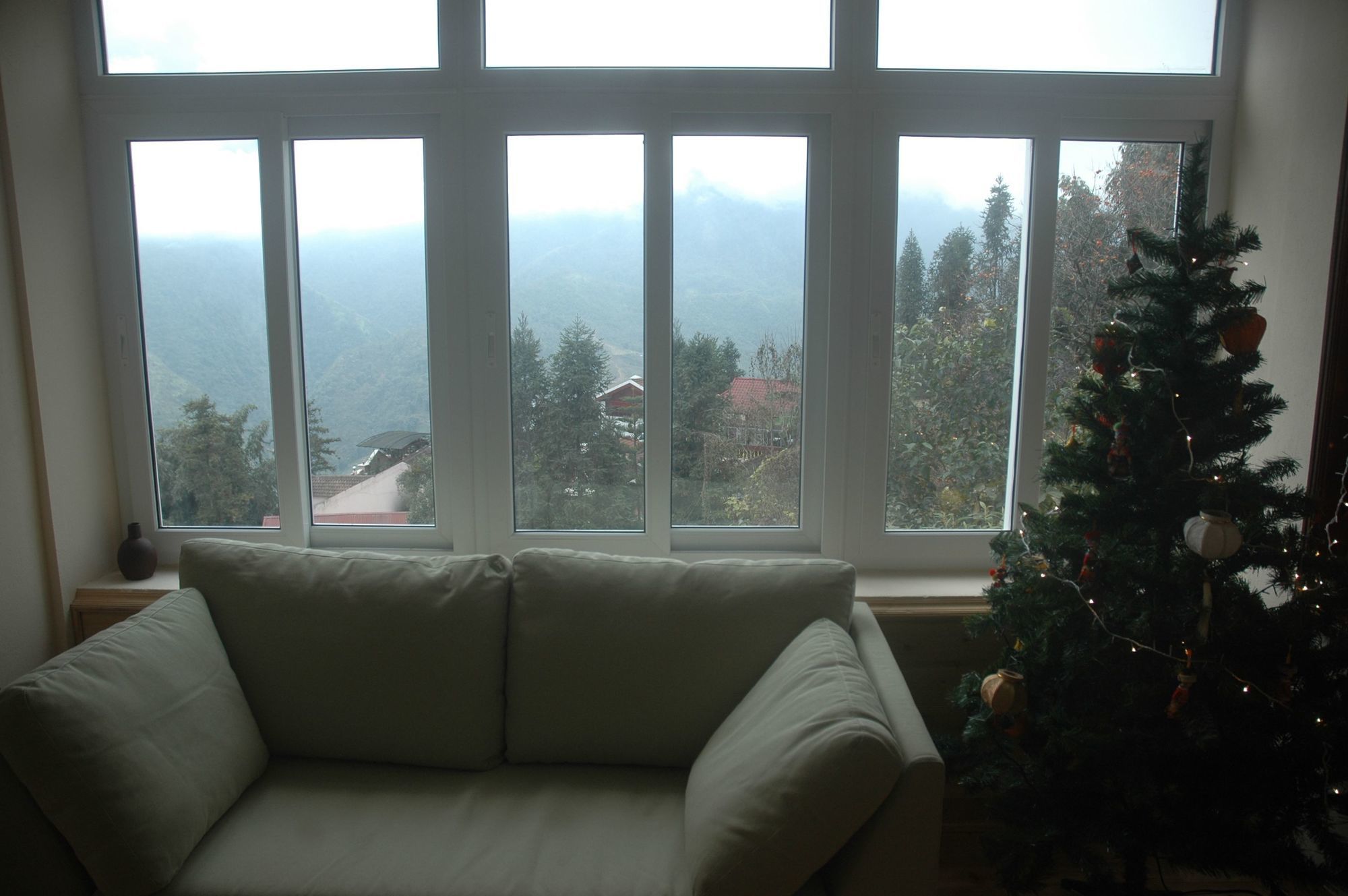 Фото Cat Cat View