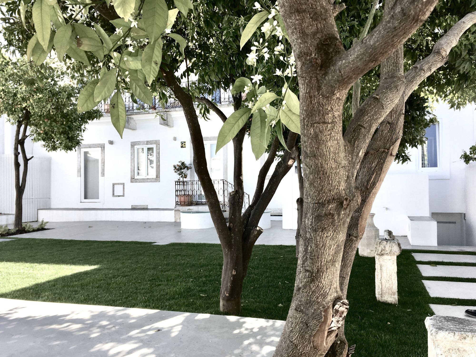 Фото Dona Graca Lisbon Apartments