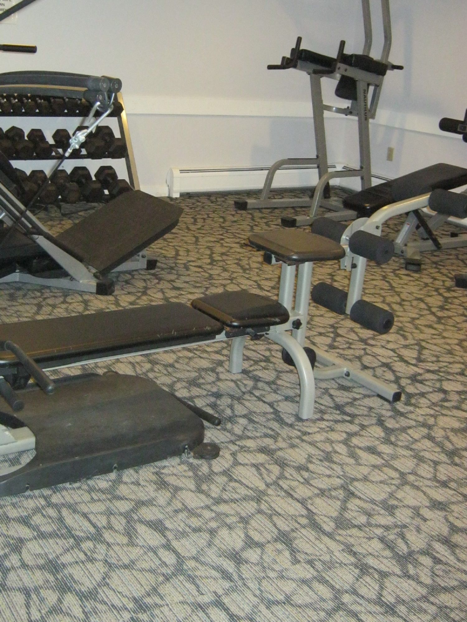 Фото North Star Lodge and Resort