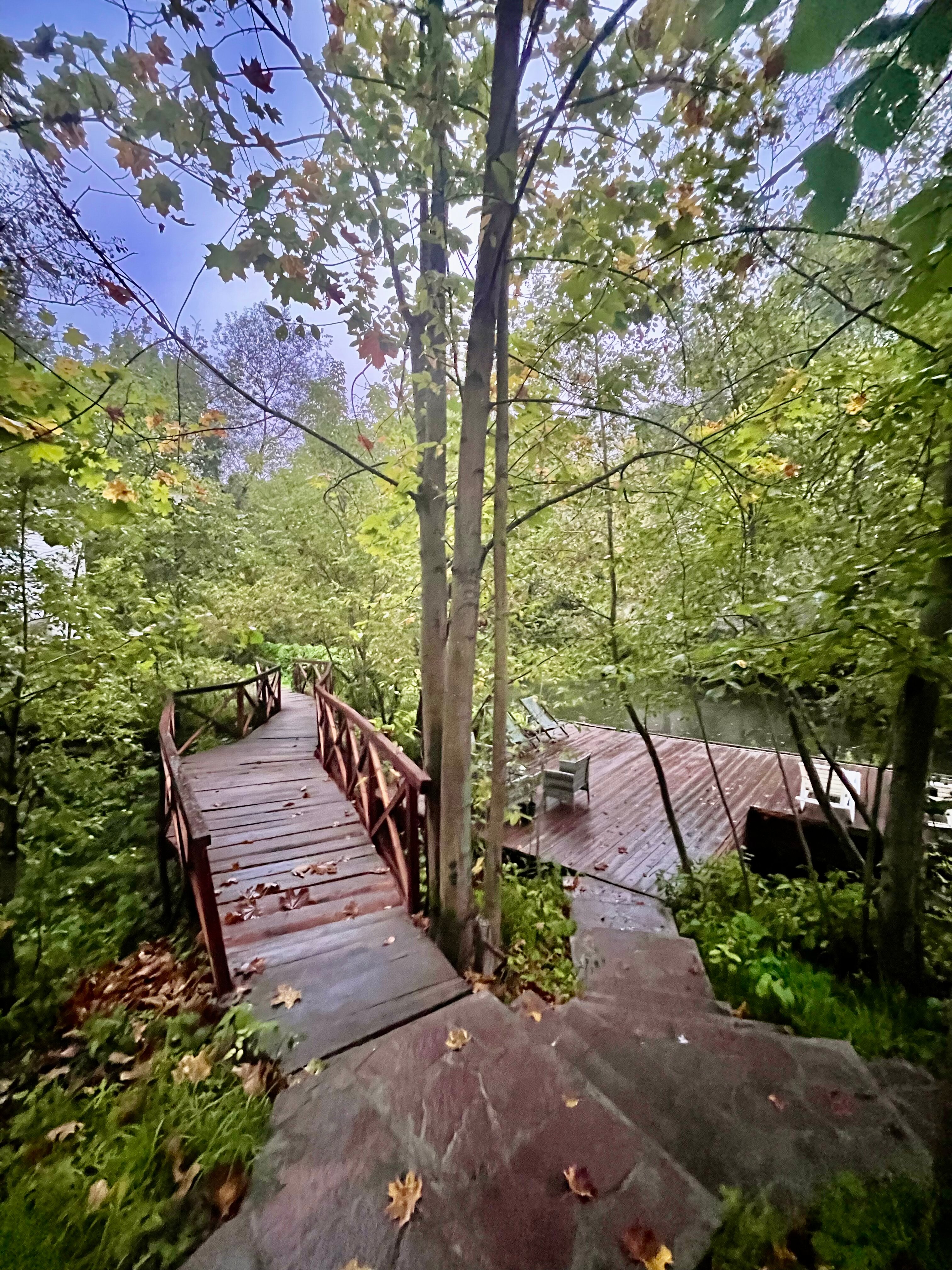 Фото Дом на реке