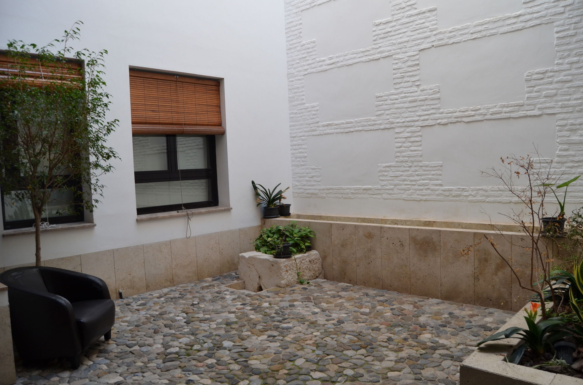 Фото Apartamentos Coronado