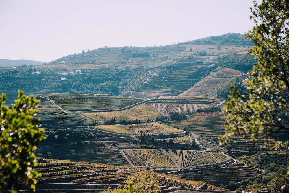 Фото Hotel Rural Quinta do Silval