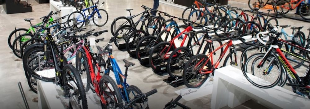 Фото Hotel Santa Cecilia