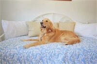 Фото Palm Beach Historic Inn