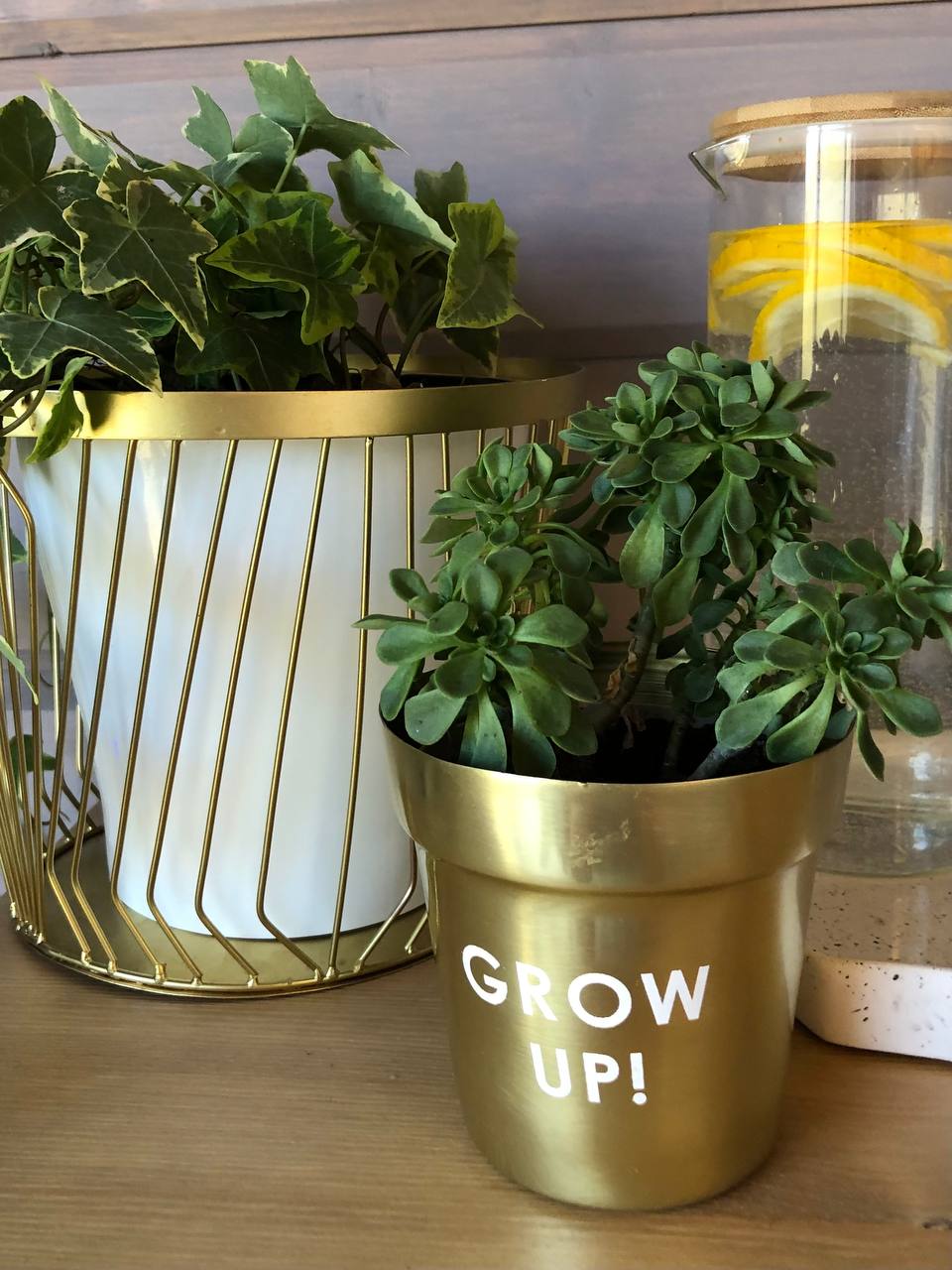 Фото Село Орлов