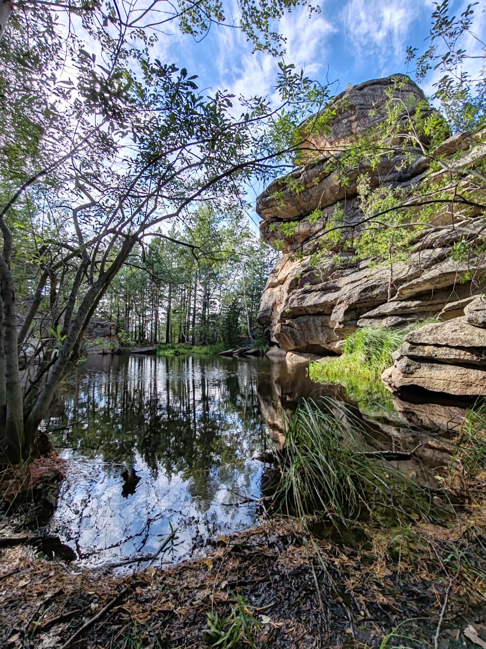 Фото Медная Сова