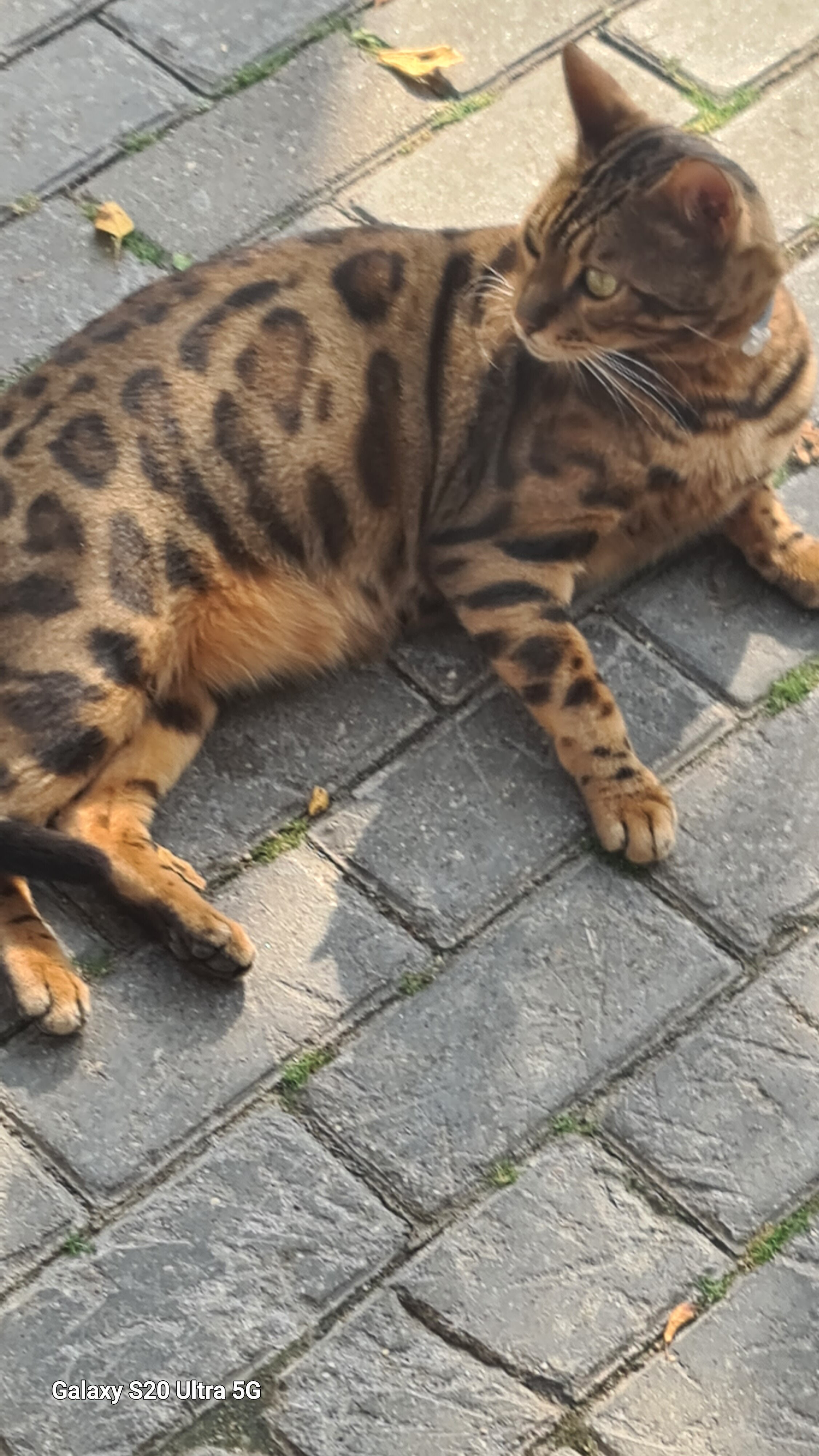 Фото Золотая осень