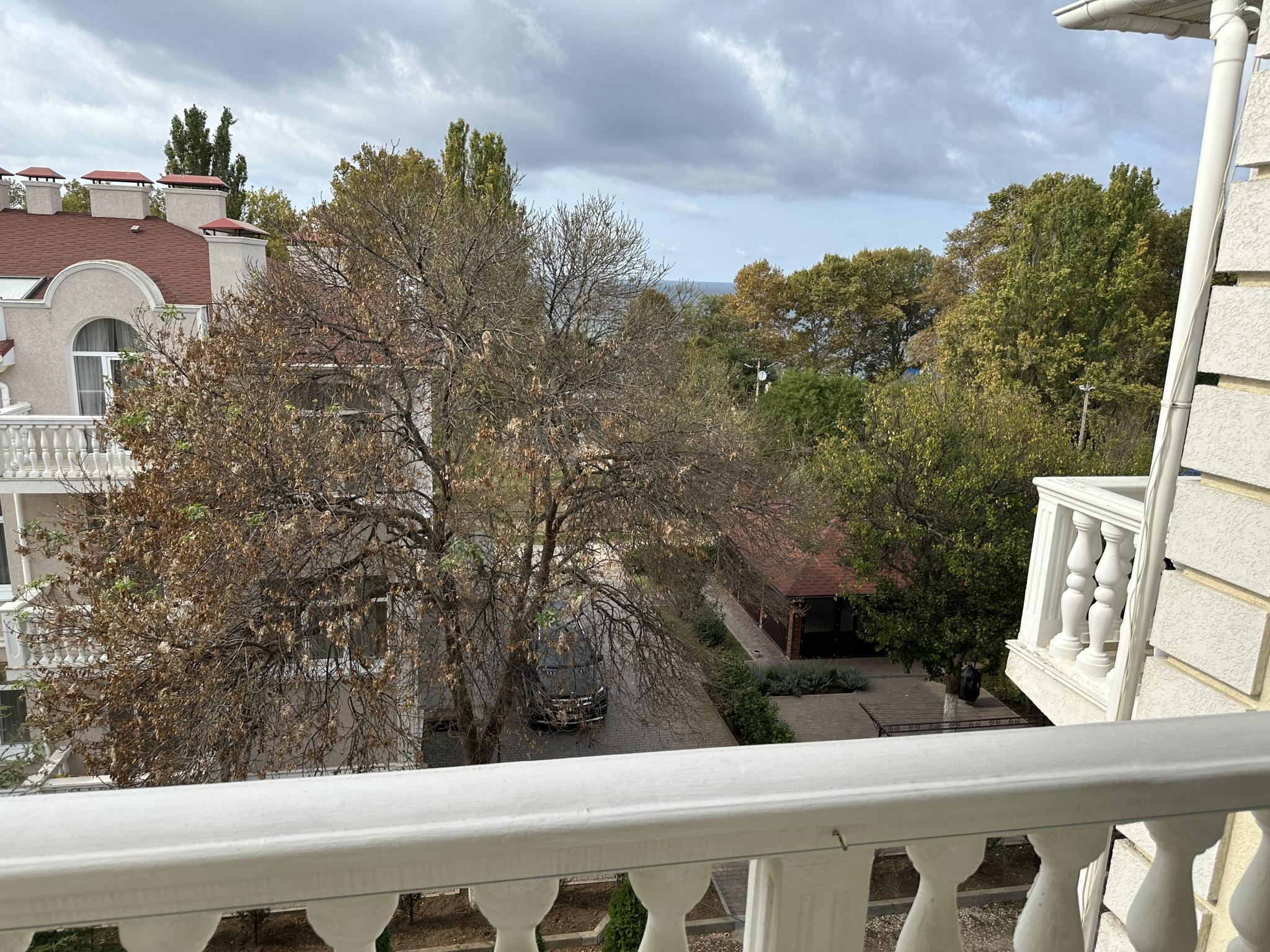 Фото Лев, корпус Катрин