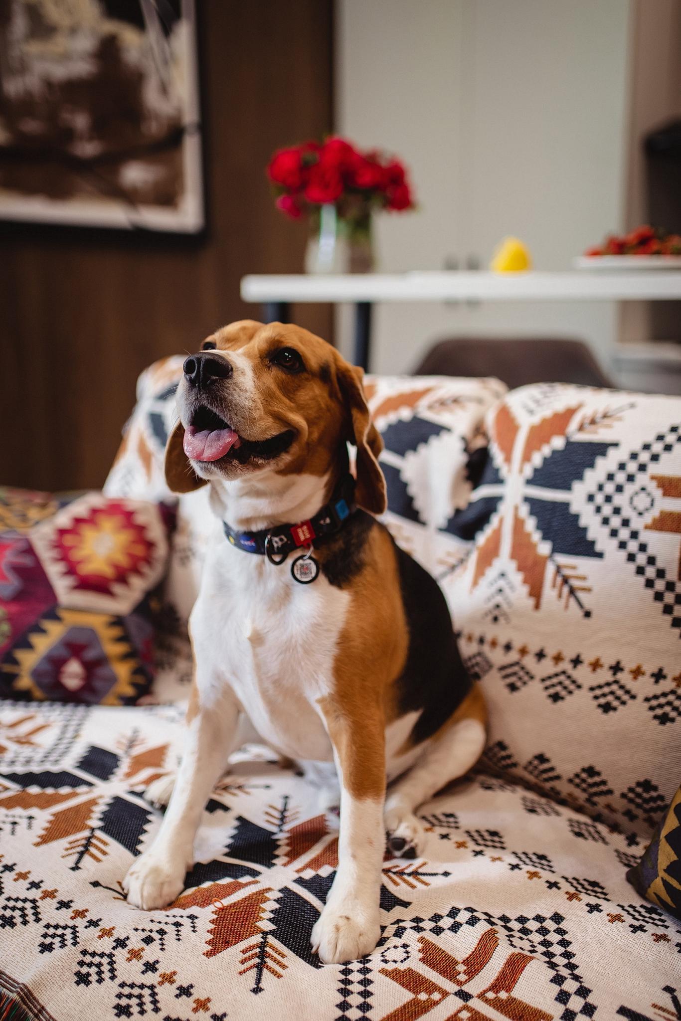 Фото Горная Дача