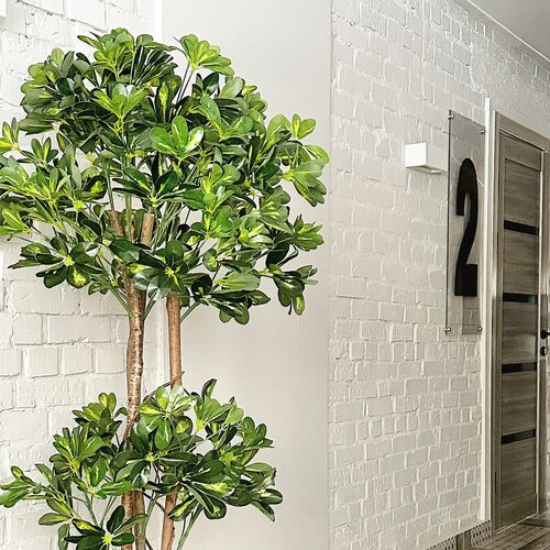 Иное жильё Art Loft 24 в Орске