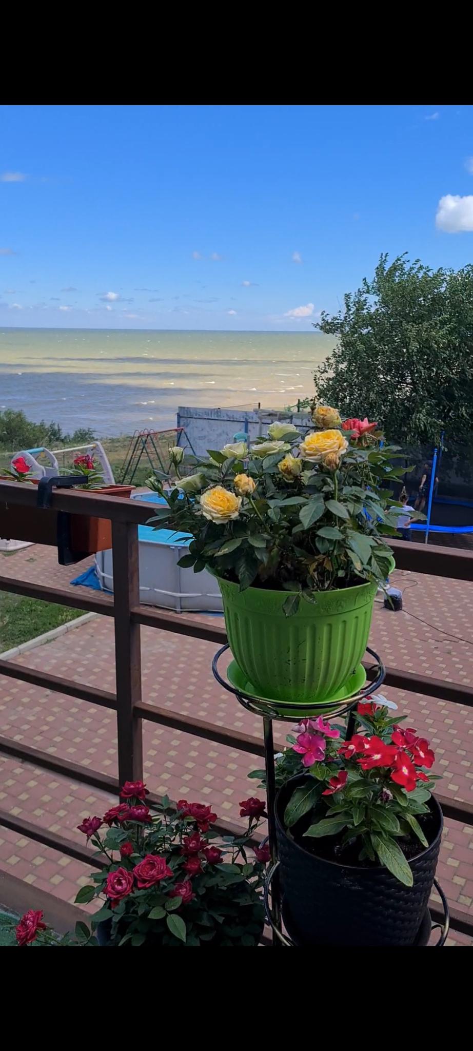 Фото Приморская