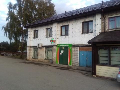 Фото Альбатрос