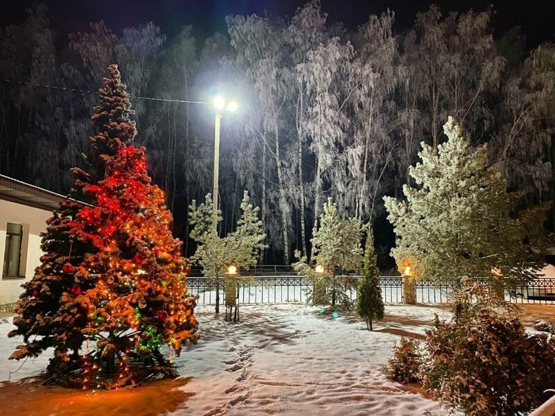 База отдыха Алино — фото 25