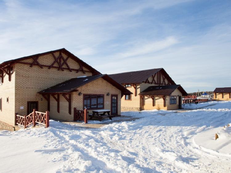 Фото Снегири