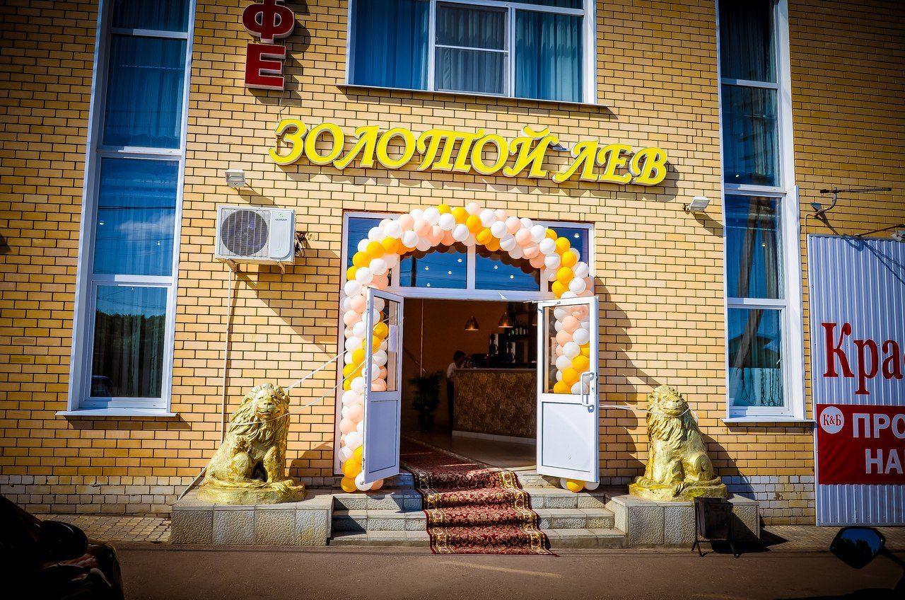 Фото Золотой лев