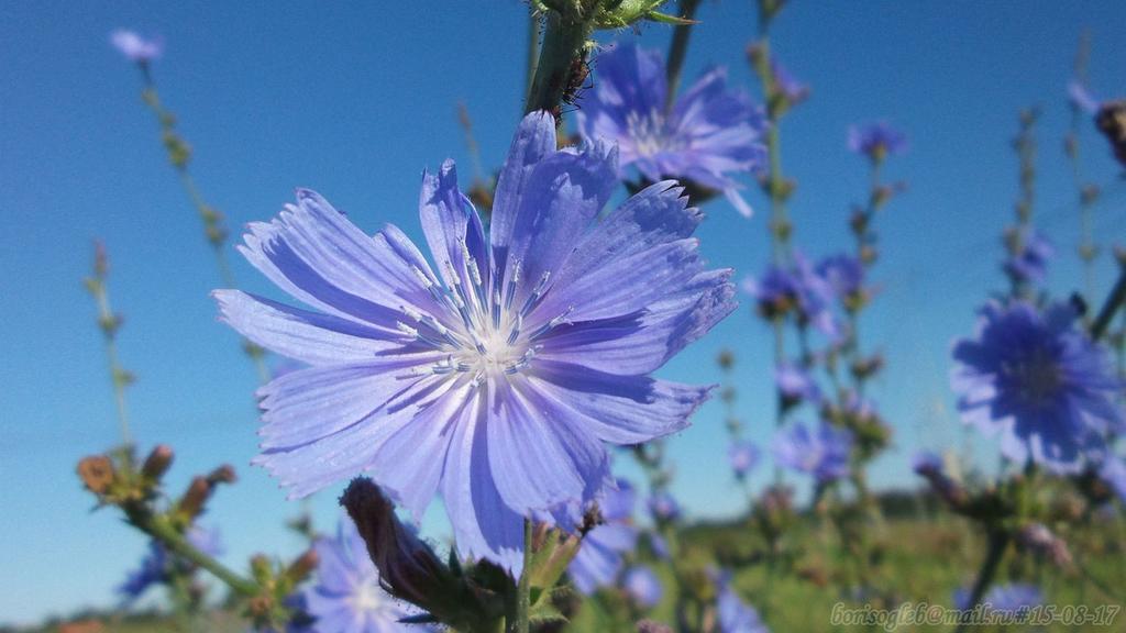 Фото Ковчег