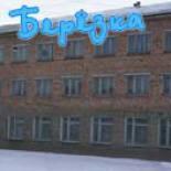 Фото Березка