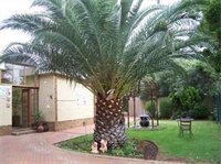 Фото Angels Haven Guesthouse