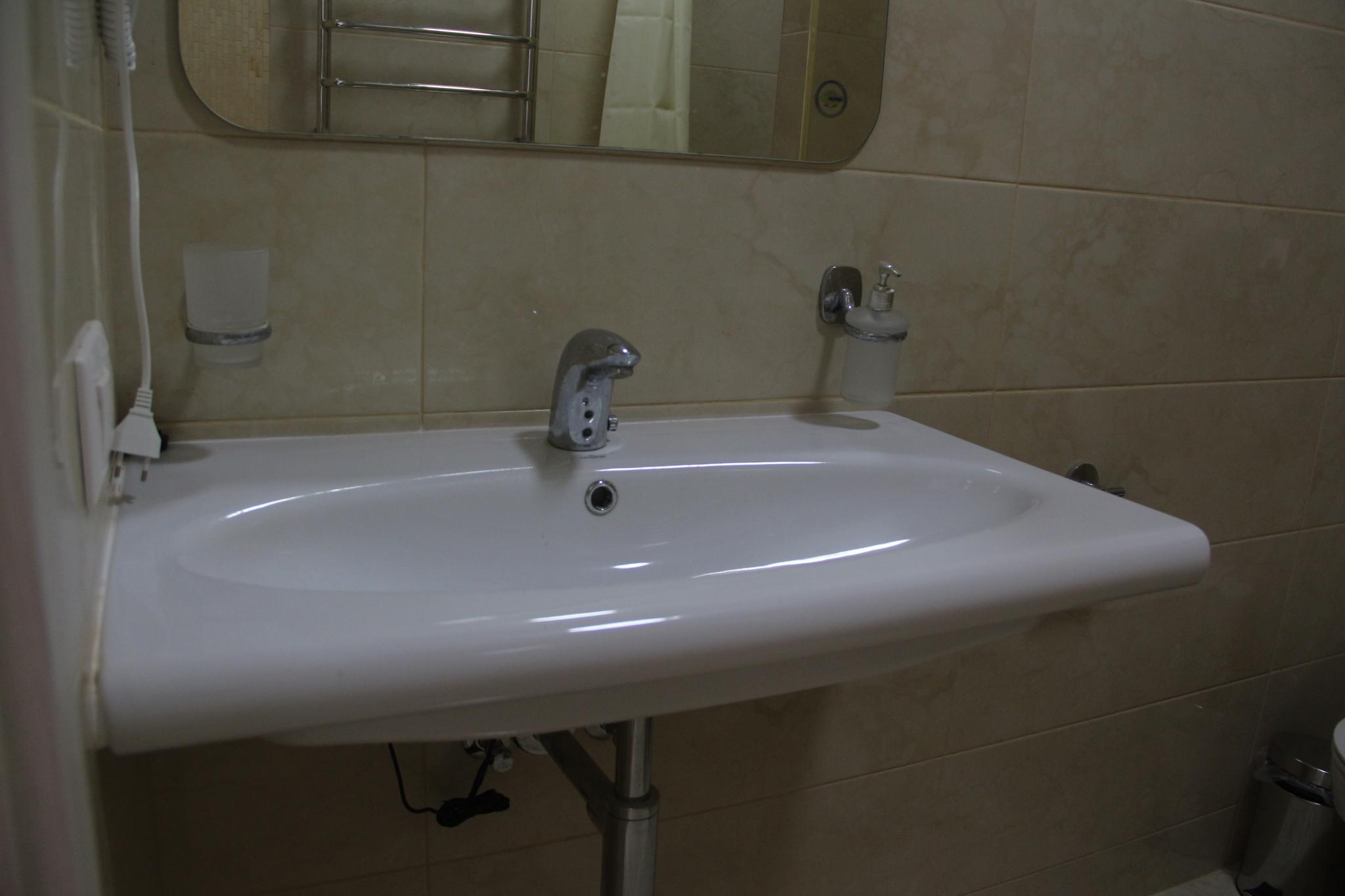 Фото Авокадо